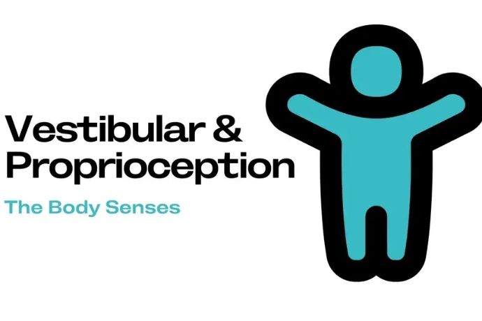 Vestibular &amp;amp; Proprioception