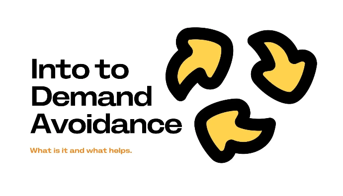 What Is Demand Avoidance?