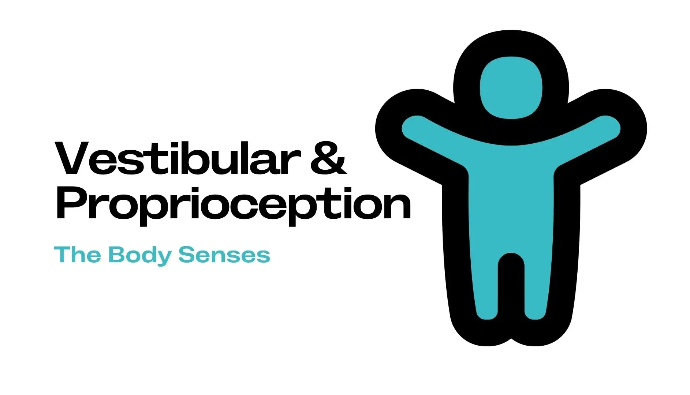 Vestibular and Proprioception